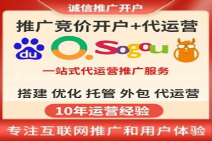 百度优化推广案例剖析：某电商平台的成功之路